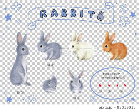 灰兔手繪插畫素材集,有棕兔、白兔和紅眼選項 灰兔手繪插畫素材集,有棕兔、白兔和紅眼選項 95019013