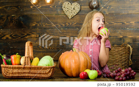 Basket full fresh vegetables harvest. Gathering harvest traditions. Harvest festival concept. Child girl presenting harvest of her vegetable garden on wooden background. Kid girl spend childhood farm 95019592