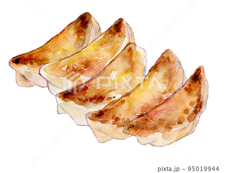 焼き餃子 水彩イラスト 焼き餃子 水彩イラスト 95019944