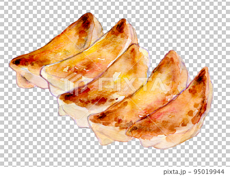 焼き餃子 水彩イラスト 焼き餃子 水彩イラスト 95019944