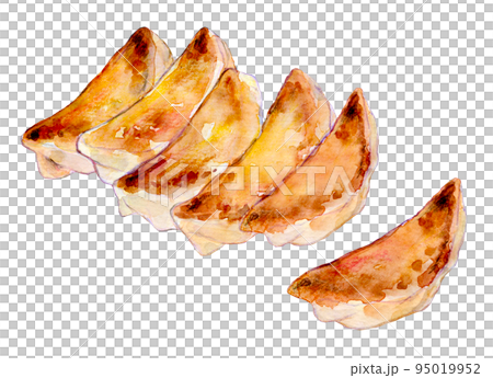 焼き餃子 水彩イラスト 焼き餃子 水彩イラスト 95019952