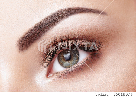 Female eye with long false eyelashes Female eye with long false eyelashes 95019979