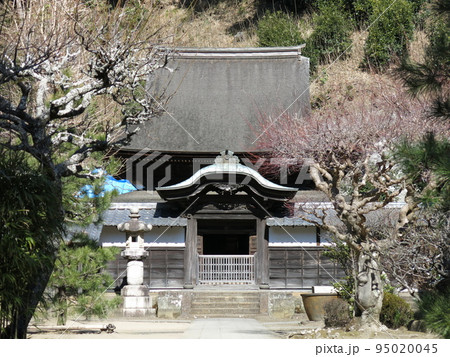 鎌倉市の円覚寺にある国宝の舎利殿 95020045