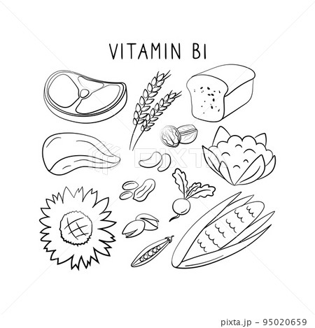 Vitamin B1 Thiamin . Groups Of Healthy Products...のイラスト素材 [95020659 ...