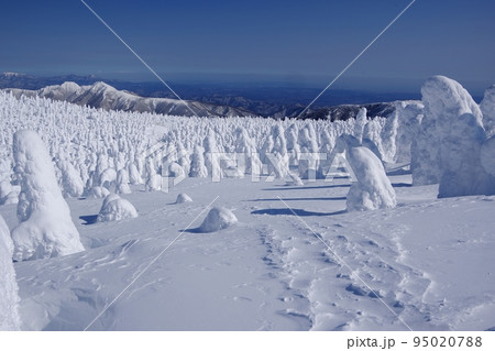 名号峰を眼下に望む地蔵岳の樹氷原　Ver2 95020788