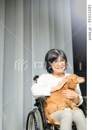 介護と高齢者のペットのイメージ　見上げる　縦 95021085