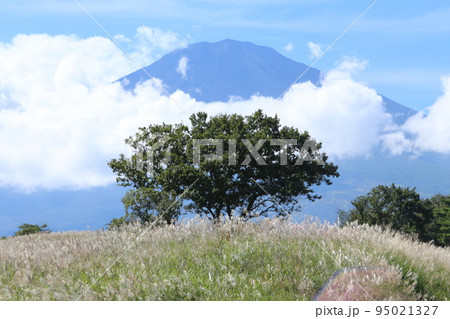 御殿場からの富士山 95021327