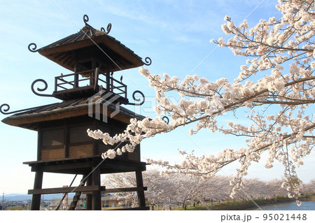 桜と弥生時代の環濠集落遺跡「唐古・鍵遺跡」に復元された楼閣 桜と弥生時代の環濠集落遺跡「唐古・鍵遺跡」に復元された楼閣 95021448