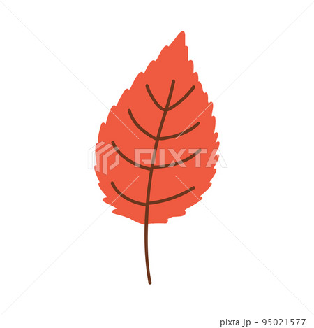 Autumn leaves. Foliage leaf silhouette. Forest vector illustration. Autumn leaves. Foliage leaf silhouette. Forest vector illustration. 95021577