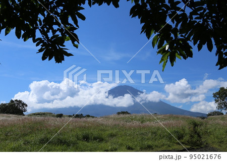御殿場からの富士山 95021676