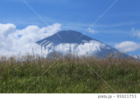 御殿場からの富士山 95021753