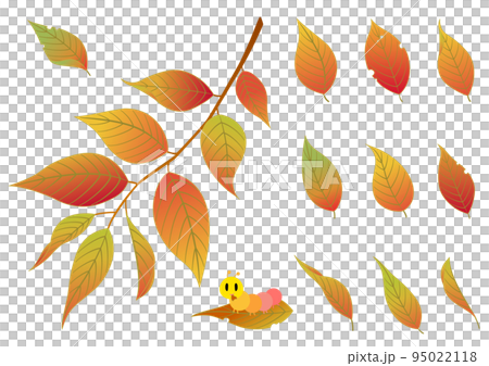 秋葉和毛毛蟲套裝 95022118