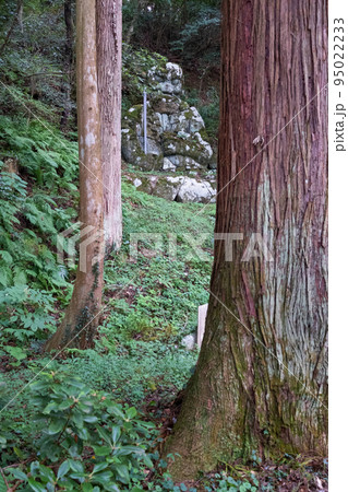 島根半島枕木山の華蔵寺の不動大石像 95022233