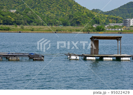 【京都府】釣り筏　舞鶴湾の海岸線　 95022429