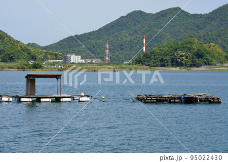 【京都府】釣り筏　舞鶴湾の海岸線　 95022430