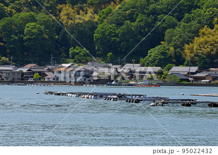 【京都府】釣り筏　舞鶴湾の海岸線　 95022432