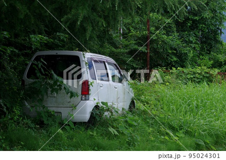 捨てられた廃車　捨てられた軽自動車 95024301
