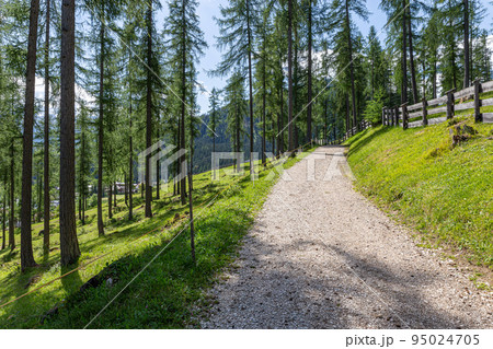 Mountain trekking itinerary 95024705