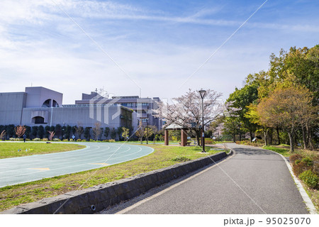 桜咲く平和の森公園の風景（東京都中野区） 95025070