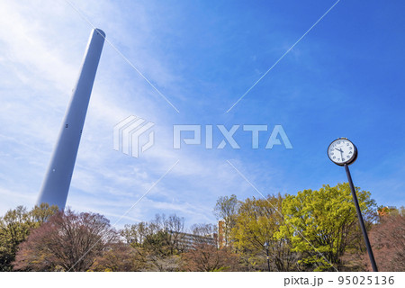 光が丘公園のけやき広場と光が丘清掃工場の煙突 光が丘公園のけやき広場と光が丘清掃工場の煙突 95025136