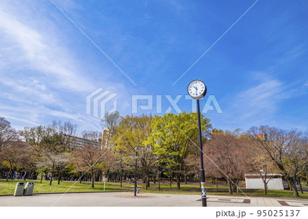 光が丘公園のけやき広場 光が丘公園のけやき広場 95025137