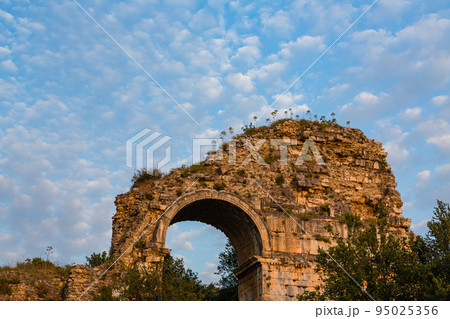 トルコ　エフェソスの古代都市遺跡 95025356