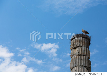 トルコ　エフェソスの古代都市遺跡のアルテミス神殿の円柱と上に作られた鳥の巣 95025618