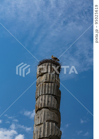 トルコ エフェソスの古代都市遺跡のアルテミス神殿の円柱と上に作られた鳥の巣 トルコ エフェソスの古代都市遺跡のアルテミス神殿の円柱と上に作られた鳥の巣 95025619