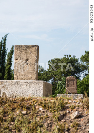 トルコ エフェソスの古代都市遺跡 トルコ エフェソスの古代都市遺跡 95025648