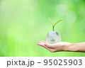 Young plant on crystal globe in hand with green background, concept for eco friendly business, green energy and climate change. 95025903