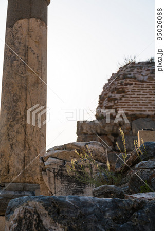 トルコ　エフェソスの古代都市遺跡 95026088