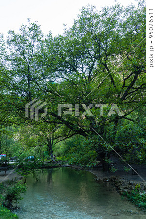 トルコ　サフランボル近郊のインセカヤにあるトカトリ峡谷を流れる川 95026511