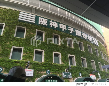 甲子園球場 95026595