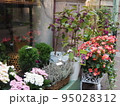 コルマールの町で 95028312