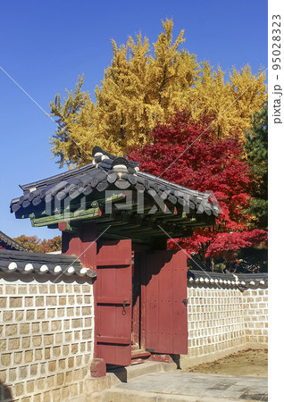 風景 故宮 外出 95028323