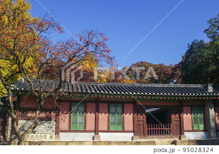 風景 故宮 外出 95028324