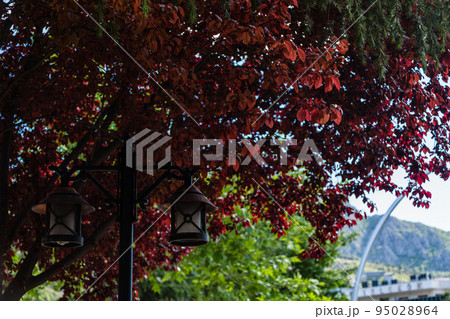 トルコ　アマスィヤの町並み 95028964