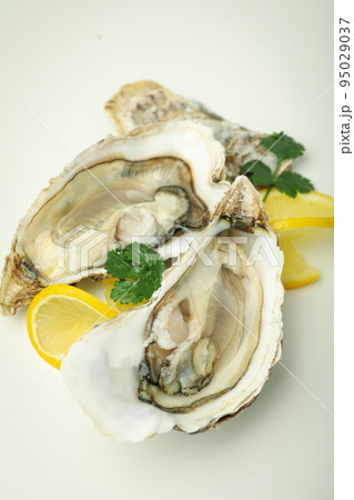 Concept of delicious seafood, oysters, close up 95029037