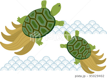 みの亀 2匹 みの亀 2匹 95029402