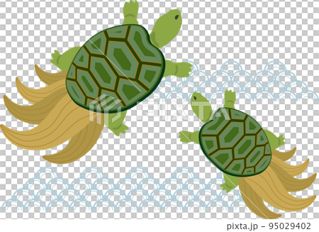 みの亀 2匹 みの亀 2匹 95029402