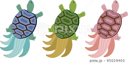みの亀　カラーセット 95029403