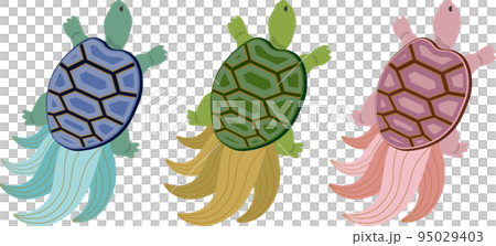 みの亀　カラーセット 95029403