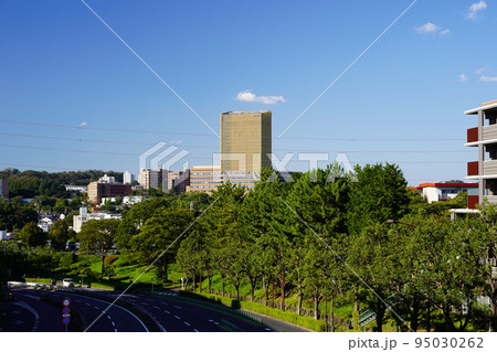 高台に建つ大学の校舎 高台に建つ大学の校舎 95030262