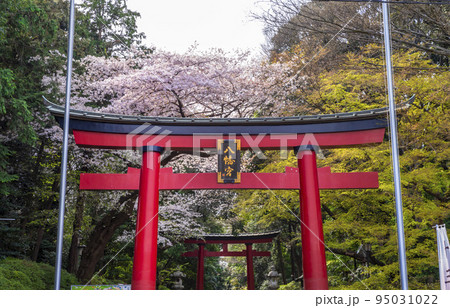 大宮八幡宮の鳥居(東京都杉並区) 大宮八幡宮の鳥居(東京都杉並区) 95031022