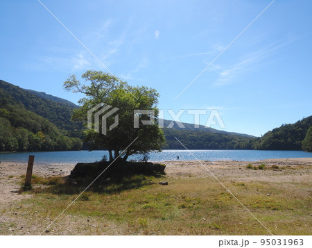丸沼　湖畔の風景 95031963