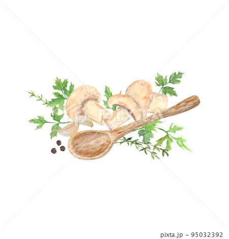 Watercolor illustration of mushroom. Champignon. Botanical illustration. Watercolor illustration of mushroom. Champignon. Botanical illustration. 95032392