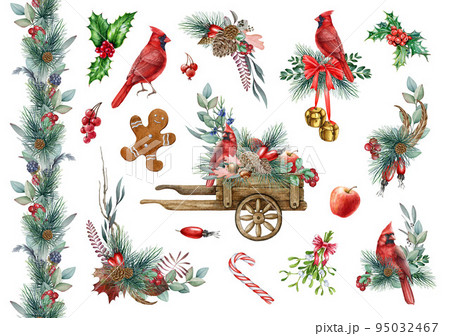 Winter floral decor set with cardinal bird. Watercolor illustration. Hand drawn Christmas traditional floral decorations with pine, eucalyptus, berries, red cardinal collection Winter floral decor set with cardinal bird. Watercolor illustration. Hand drawn Christmas traditional floral decorations with pine, eucalyptus, berries, red cardinal collection 95032467