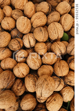 Closeup on a bunch of seasonal nutritional healthy brown closed walnuts collected form the garden Closeup on a bunch of seasonal nutritional healthy brown closed walnuts collected form the garden 95032536