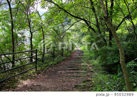 福知山線廃線敷　枕木の道 95032989