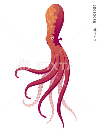 Octopus cartoon flat character with suckers on hands. Aquatic fauna icon. Animal illustration for zoo ad, nature concept. Cute color octopus, sea animal with tentacles Octopus cartoon flat character with suckers on hands. Aquatic fauna icon. Animal illustration for zoo ad, nature concept. Cute color octopus, sea animal with tentacles 95033084